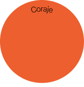 Gráfico representativo de la metodología