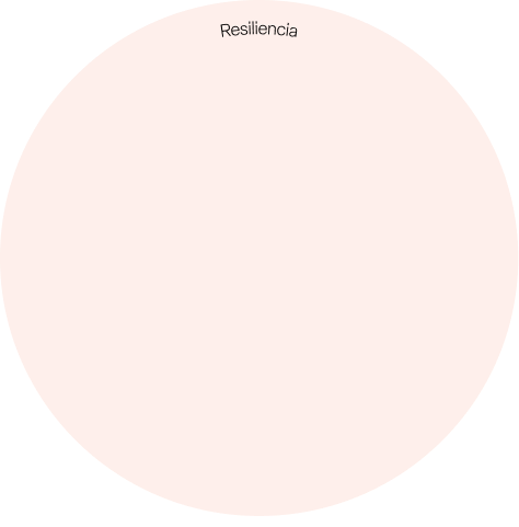 Gráfico representativo de la metodología 